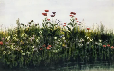 Coquelicots, marguerites et chardons sur une rive (paire de 85964)